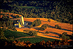Photo: Communications Satellite Antenna and vineyards along Cachagua Road, Monterey County, California