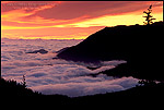 Photo: Sea of fog and stormy sunrise near Hurricane Ridge, Olympic National Park, Washington