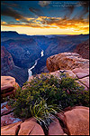Photo: Steep rugged cliffs above the Colorado River at sunset, Toroweap, Grand Canyon National Park, Arizona