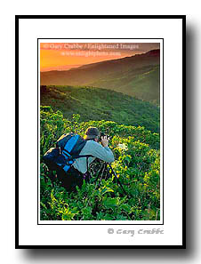 Photographer working in the field at sunset.
