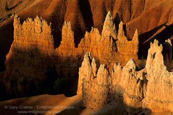 Bryce hoodoo