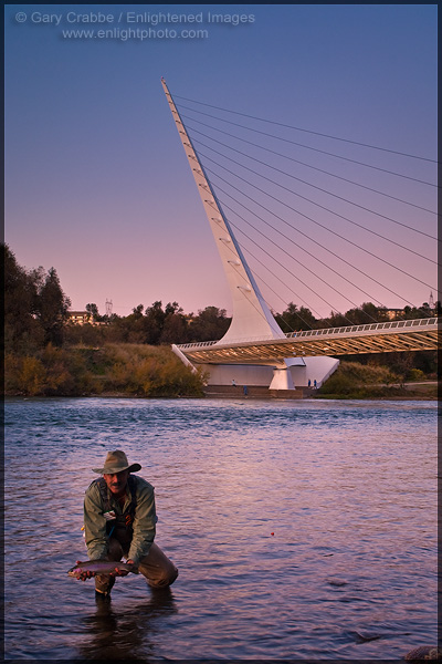 Photo: Fisherman holding up a catch & release steelhead caught in the Sacramento River near the Sundial Bridge in evening light, Redding, California