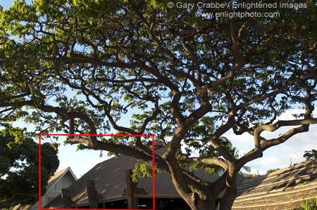 Picture: Rainbow over Polynesian motif wood carving, Paradise Cove, Ko Olina, Oahu, Hawaii