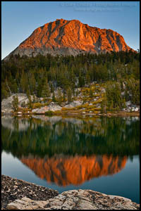 Photo: Sunset light on Fletcher Peak reflected in Boothe Lake, Yosemite National Park, California