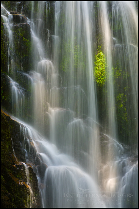 Image: Sunlight on Berry Creek Falls (Detail), Big Basin State Park, Santa Cruz mountains, California Photo: Sunlight on Berry Creek Falls (Detail), Big Basin State Park, Santa Cruz mountains, California