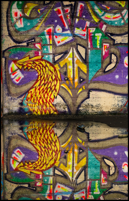 Photo: Graffiti reflection in standing water inside an abandoned building, Berkeley, California Image: Graffiti reflection in standing water inside an abandoned building, Berkeley, California