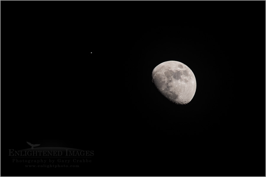 Image: Waxing gibbous moon and companion