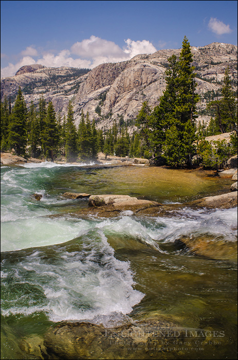Photo: Tuolumne River, Yosemite National Park, California Image: Tuolumne River, Yosemite National Park, California