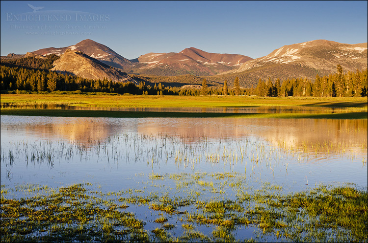 Photo: Mountains above the flooded Tuolumne Meadows, Yosemite National Park, California Image: Mountains above the flooded Tuolumne Meadows, Yosemite National Park, California