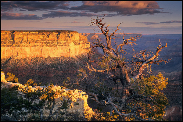 Photo: Sunrise light on Maricopa Point, South Rim, Grand Canyon National Park, Arizona