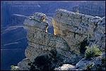 Picture: Sunlight on rock outcrop edge on the rim at Mather Point, Grand Canyon National Park, Arizona