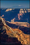 Picture: San Francisco Peaks as seen from Point Sublime on the North Rim, Grand Canyon National Park, Arizona