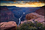 Picture: Sunset over the Colorado River from Toroweap Overlook, near Tuweep, North Rim, Grand Canyon National Park, Arizona