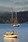 Morning light on sailboats in Tomales Bay, near Marshall, Marin County, California