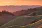 Sunset light on rolling green hills in spring along Bolinas Ridge, near Mount Tamalpais, Golden Gate National Recreation Area, Marin County, California