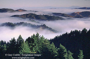 Fog and rolling hills as seen from near the summit of Mount Tamalpais, Mount Tamalpais State Park, Marin County, California