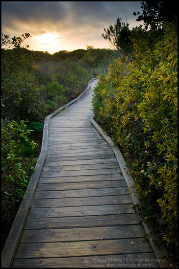Picture: Elfin Forest Boardwalk, California