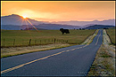 Photo: Sunrise over country road, Santa Ynez Valley, California