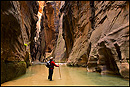 Photo: Hiker in the Virgin River Narrows, Zion National Park, Utah