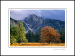 Photo: Half Dome and tree in autumn, Yosemite Valley, Yosemite National Park, California
