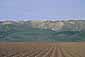 Barren, plowed agricultural crop lands, Central Valley, California