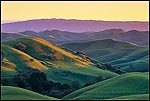 Picture: Rolling green hills of Spring at sunset, Tassajara Region, Contra Costa County, California