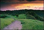 Photo: Sunset over green hills in spring, Lafayette Resevoir Rim Trail, Lafayette, California