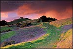 Picture: Stormy sunset over the Lafayette Ridge Trail, Lafayette, California