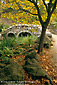 Fall colors along path near Stow Lake, Golden Gate Park, San Francisco, California