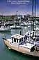 Commercial fishing boats docked at Fishermnans Wharf, San Francisco, California