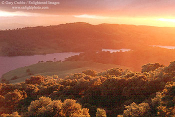 Sunset light through storm clouds on oak trees in the rural Santa Clara County hills, above Morgan Hill, California
