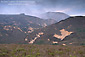 Coastal fog on the hills of Montana del Oro State Park, near Los Osos, California