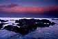 Sunrise light on coastal fog bank over the Pacific Ocean at Asilomar, Carmel coast, Monterey Peninsula, California