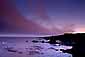 Sunrise light on fog bank over the Mendocino Coast, near Fort Bragg, California