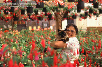 FuschiaRama flower store, Fort Bragg, Mendocino County, California