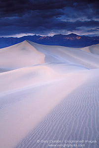Evening light on desert sand dune near Stovepipe Wells, Death Valley National Park, California; Stock Photo image picture photo Phograph art decor print wall mural gallery