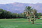Lush green grass at Furnace Creek Golf Course, Death Valley National Park, California