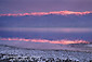 Alpenglow at sunrise on mountains reflected in spring water at Badwater, Death Valley National Park, California