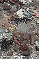 Crushed rock due to mechanical weathering, near Badwater, Death Valley National Park, California