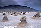 Dark storm clouds over Tucki Mountain and Devils Cornfield in spring, Death Valley National Park, California