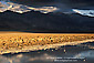 Golden sunset light on Devils Golf Course below the Black Mountains, Death Valley National Park, California