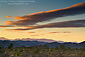 Sunset light on clouds over Joshua trees, near Quial Springs, Joshua Tree National Park, California