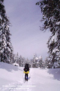 Backcountry skiing below Castle Peak, Donner Summit, near Lake Tahoe, California