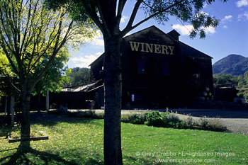 Milano Family Winery Hopland, Mendocino County, California