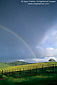 Rainbow and storm clouds over vineyard in Spring, Conn Valley, Napa County, California