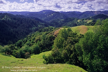 Hills Above The Russian River 6