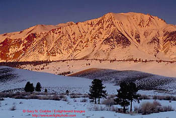 First light of a winter sunrise on the slopes of Mount Gibbs, Eastern Sierra, California