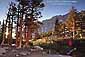 Hiker uses log bridge to cross a stream in the morning sun, along the Mount Whitney Trail, Eastern Sierra, California
