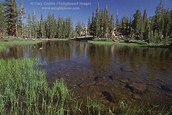 Alpine lake in the Ansel Adams Wilderness, Eastern Sierra, California
