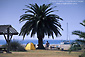 Picture: Campsite at Little Harbor, Catalina Island, California